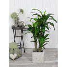Artificial plant Dracaena Green by Mica Decorations
