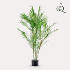 Art plant - Chamaedorea Elegans - Bergpalm - 120 cm by Green boutiQ