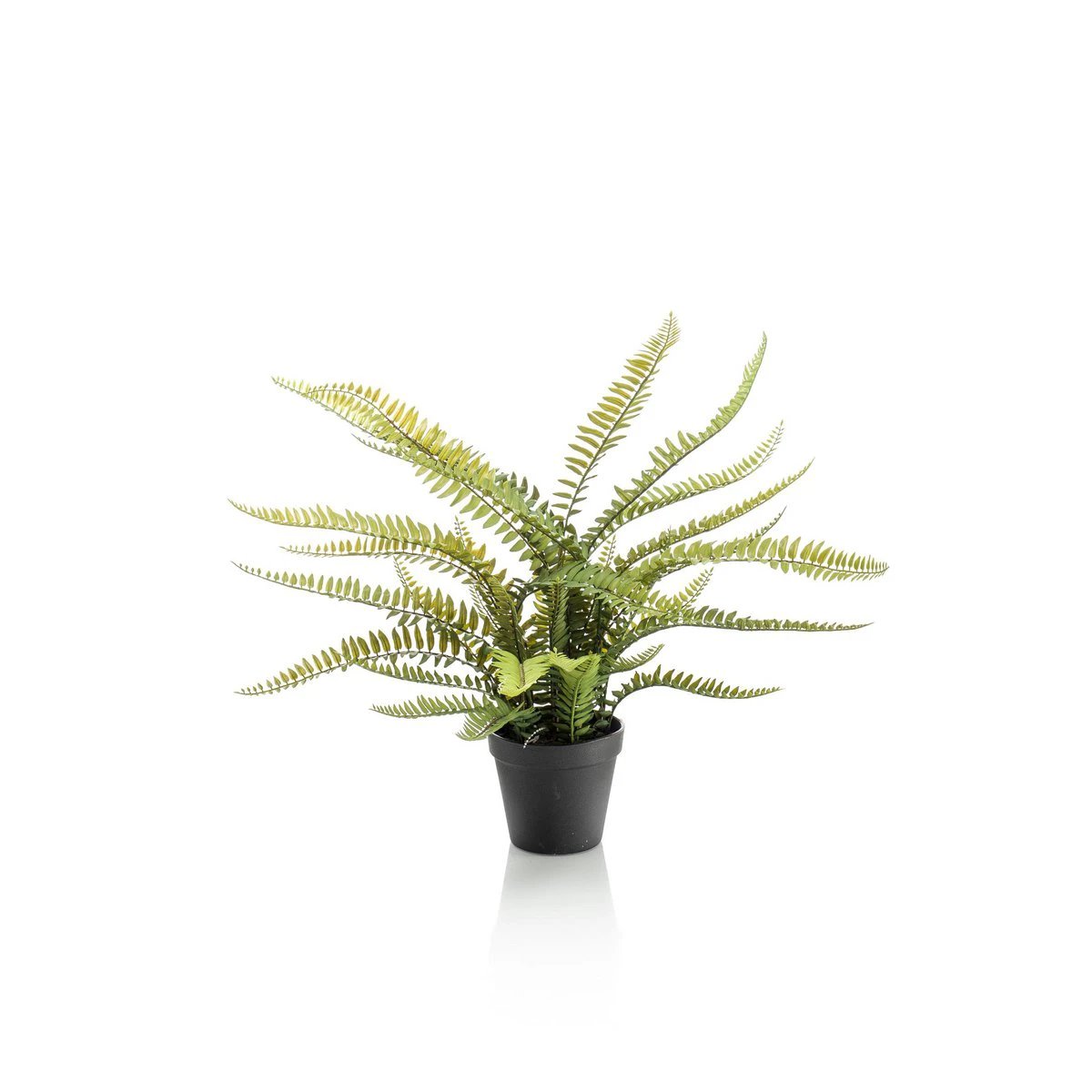 Kunstpflanze - Nephrolepis exaltata - Bostonfarn - 55 cm von Green boutiQ