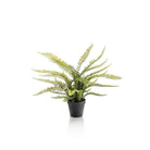 Kunstpflanze - Nephrolepis exaltata - Bostonfarn - 55 cm von Green boutiQ