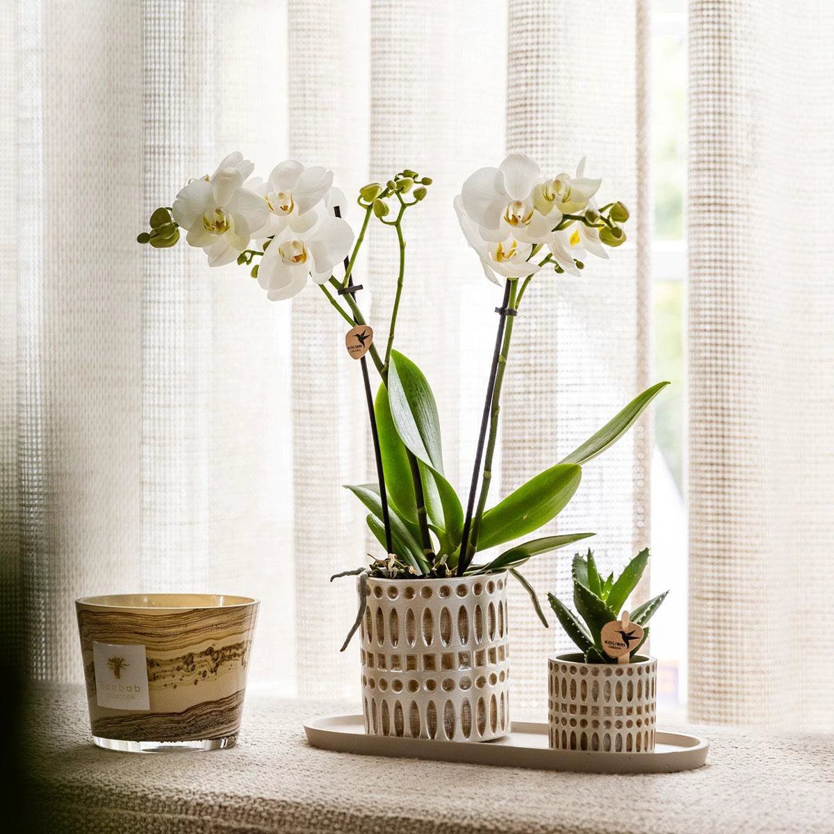 Kolibri Home | Mozaïek sierpot - Ø9cm by Kolibri Company
