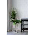 Poa Grass - Green, PE Plastic/Polyester, 30x30x68 cm by EMIRELLE