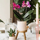 Kolibri Home | Floral flowerpot - Lavender - 9cm by Kolibri Company