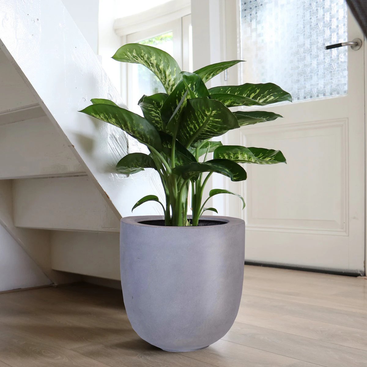 Plantenpot - Ducos big grey by Vase The World