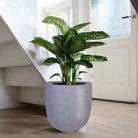 Plantenpot - Ducos big grey by Vase The World