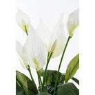 Artificial plant Spathiphyllum White by Mica Decorations