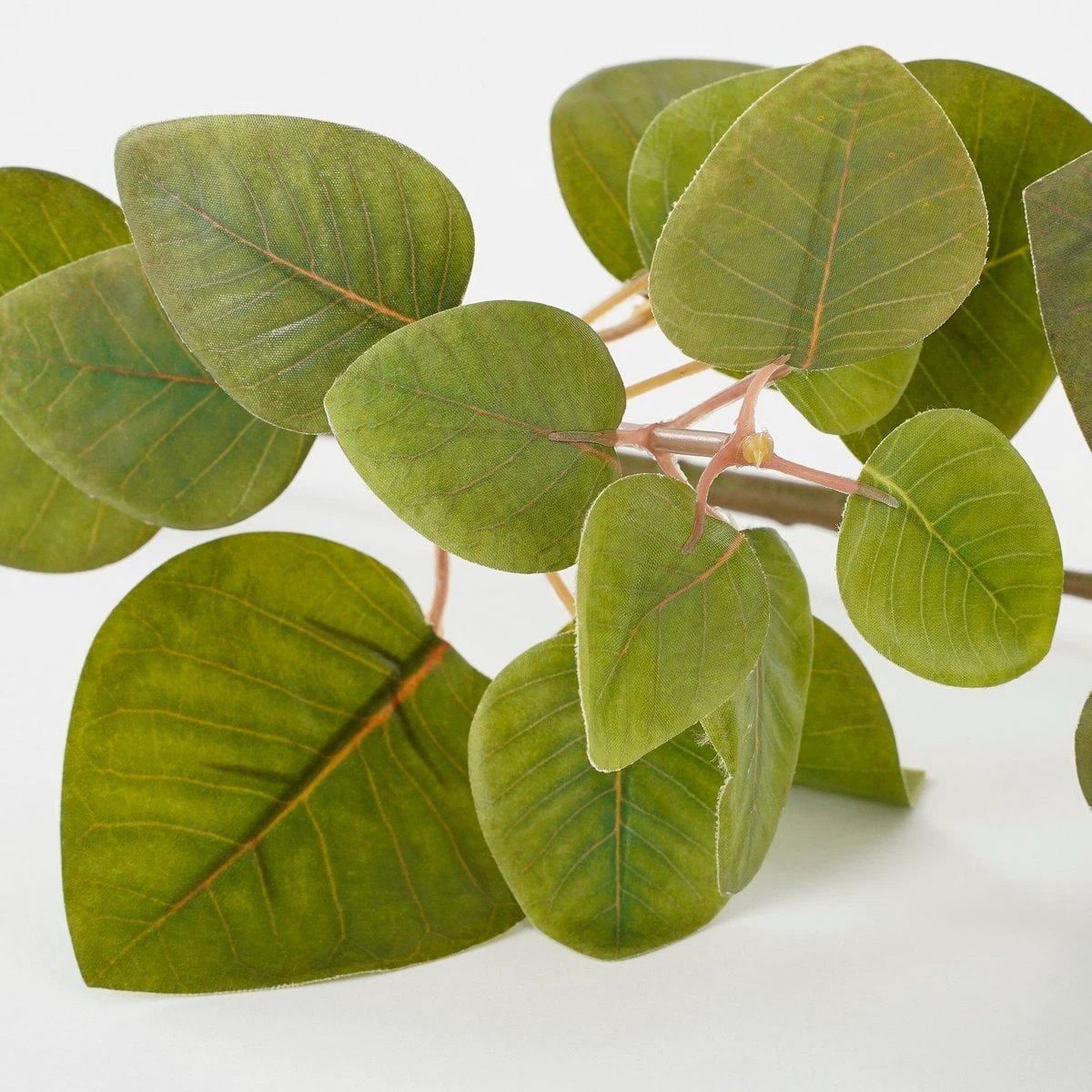 Artificial plant Green by Mica Decorations