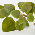 Artificial plant Green by Mica Decorations