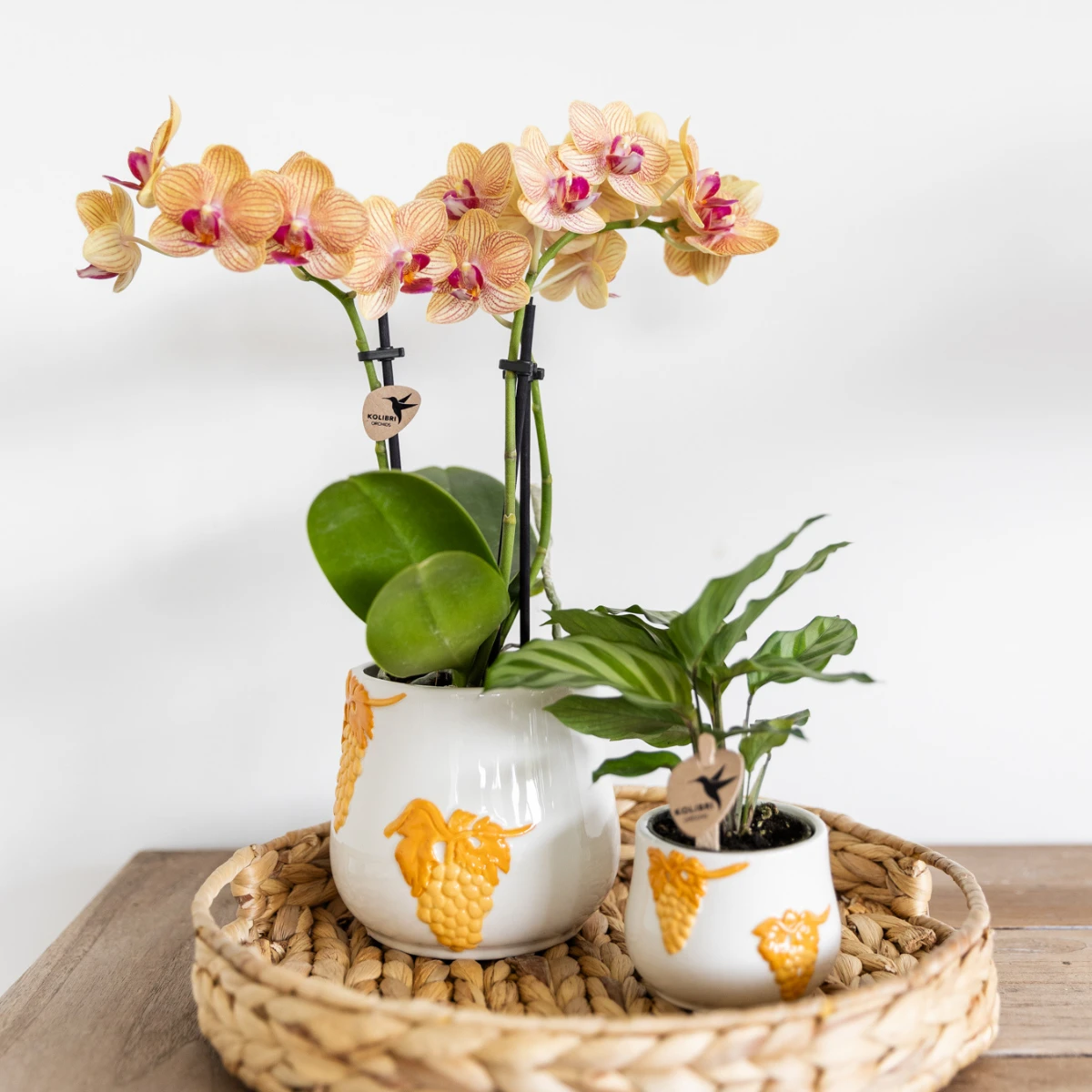 Kolibri Home | Coral - Yellow - Ø6cm by Kolibri Company