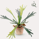 Kunstpflanze – Geweihfarn – Staghorn – 33 cm von Green boutiQ