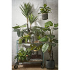 Artificial plant Yucca Green by Mica Decorations