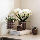 Hummingbird Home | Plant stand - White metal plant raiser Ø12cm by Kolibri Company