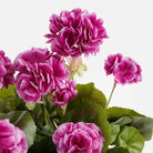 Artificial plant Geranium Pink by Mica Decorations