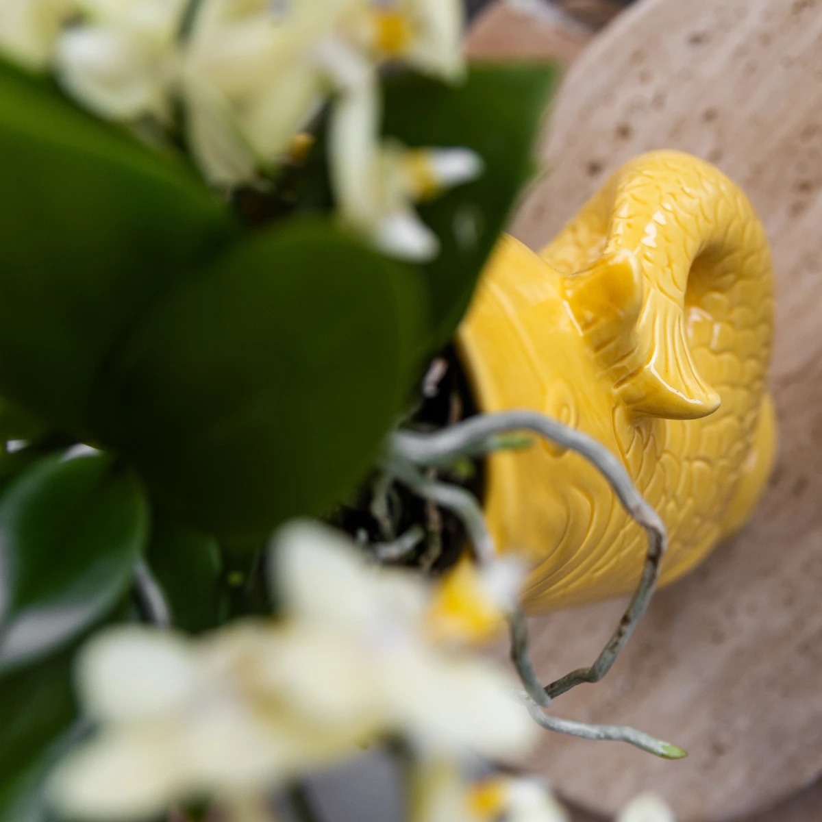 Hummingbird Home | Fish - Yellow - Ø9cm by Kolibri Company