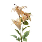 Artificial flower 72 cm beige plastic by Clayre & Eef.