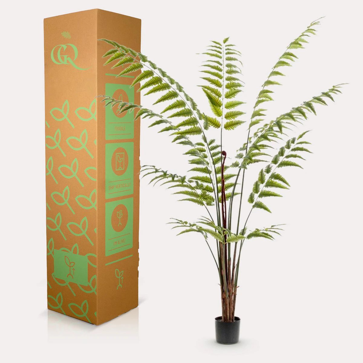 Art Plant - Rumohra Adiantiformis - The Leader Varge - 180 cm by Green boutiQ