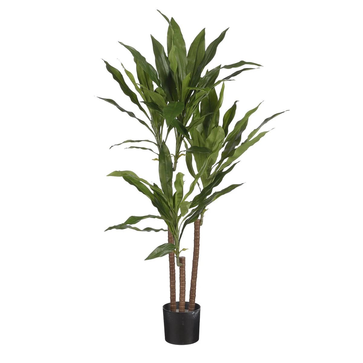 Artificial plant Dracaena Green by Mica Decorations