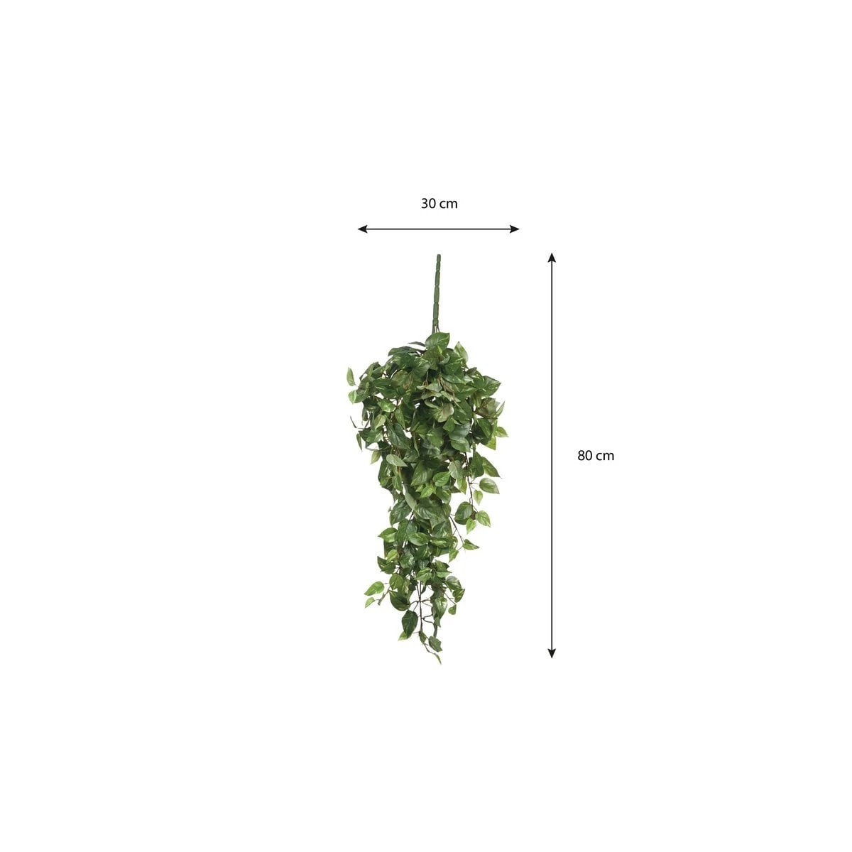 Artificial hanging plant Scindapsus hanging Green by Mica Decorations
