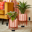 Flowerpot inside Dione Pink by Mica Decorations