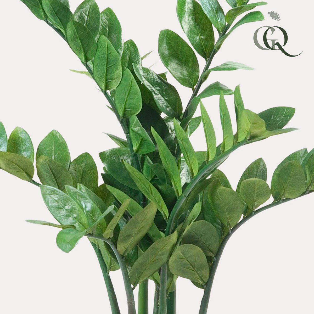 Artificial plant - Zamioculcas - City Palm - 70 cm by Green boutiQ