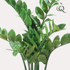 Artificial plant - Zamioculcas - City Palm - 70 cm by Green boutiQ
