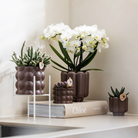 Kolibri Home | Retro Sierpot - Brown - Ø6cm by Kolibri Company