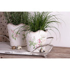 Flowerpot Ø 18x17 cm Pink Beige Ceramic Flowers Flowerpot Indoor by Clayre & Eef.