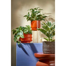 Artificial hanging plant Scindapsus Green by Mica Decorations