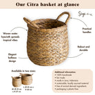 Round Woven Laundry Basket – Bulbous Boho Hamper – Natural Plant Basket – Large Water Hyacinth Storage Basket (2 sizes) CITRA by Soeji