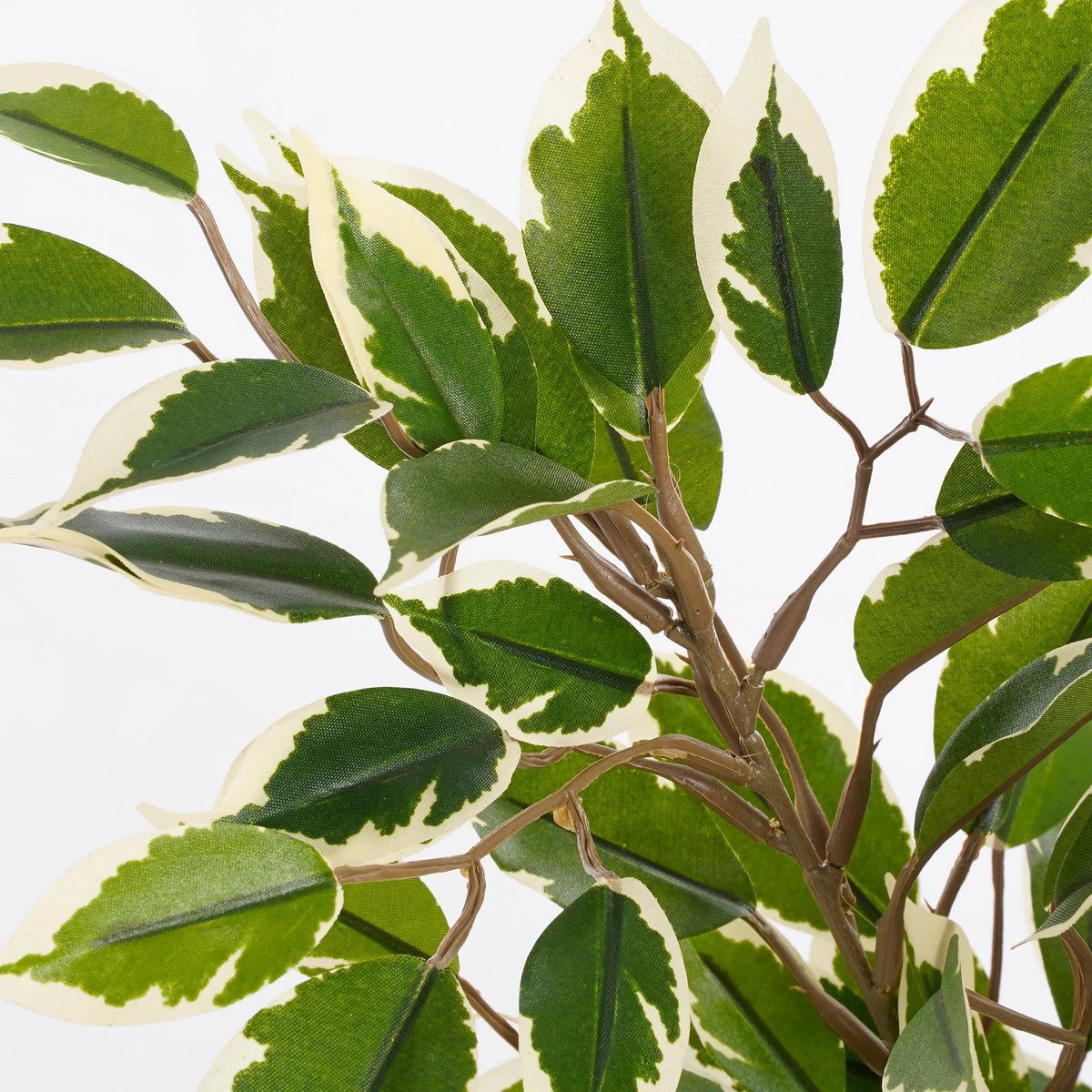 Artificial plant Ficus natasja Green by Mica Decorations