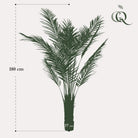 Art plant - Areca lutescens - Gold palm - 180 cm by Green boutiQ
