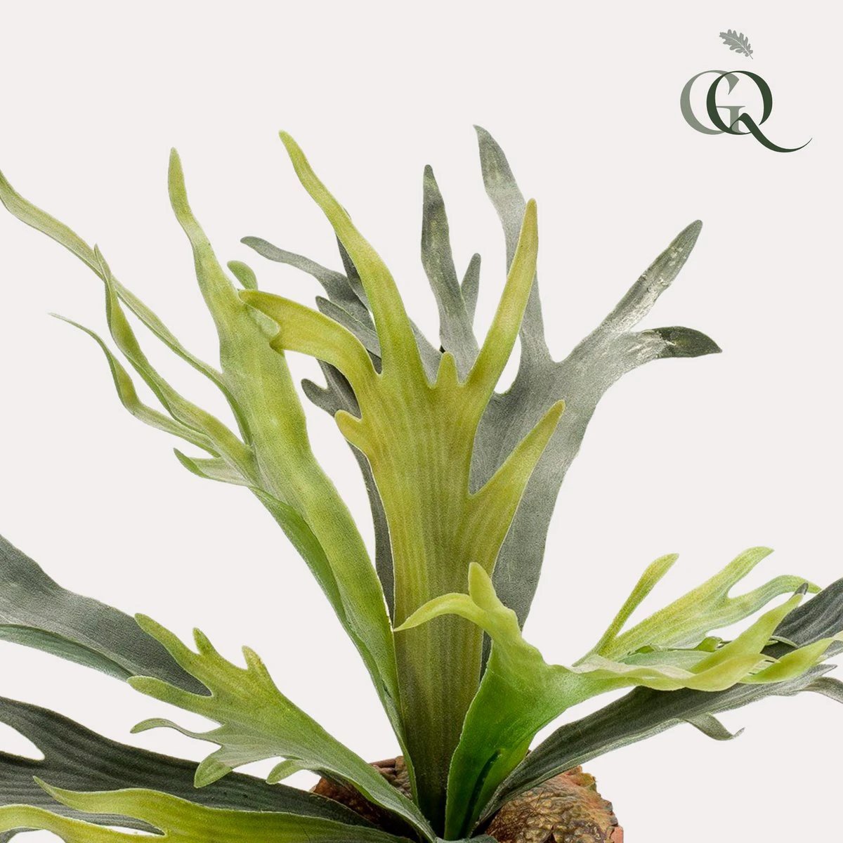 Kunstplant - Staghorn Fern - Hertshoorn - 50 cm by Green boutiQ