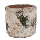 Flowerpot Ø 12x11 cm Beige Green Terracotta by Clayre & Eef.