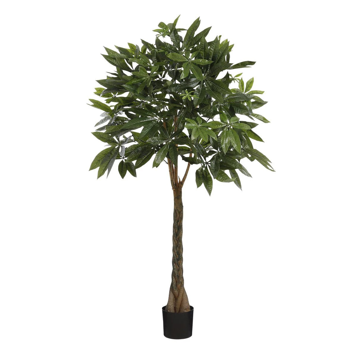Artificial plant Pachira Green by Mica Decorations