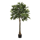 Artificial plant Pachira Green by Mica Decorations