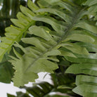 Artificial plant Boston fern Green by Mica Decorations