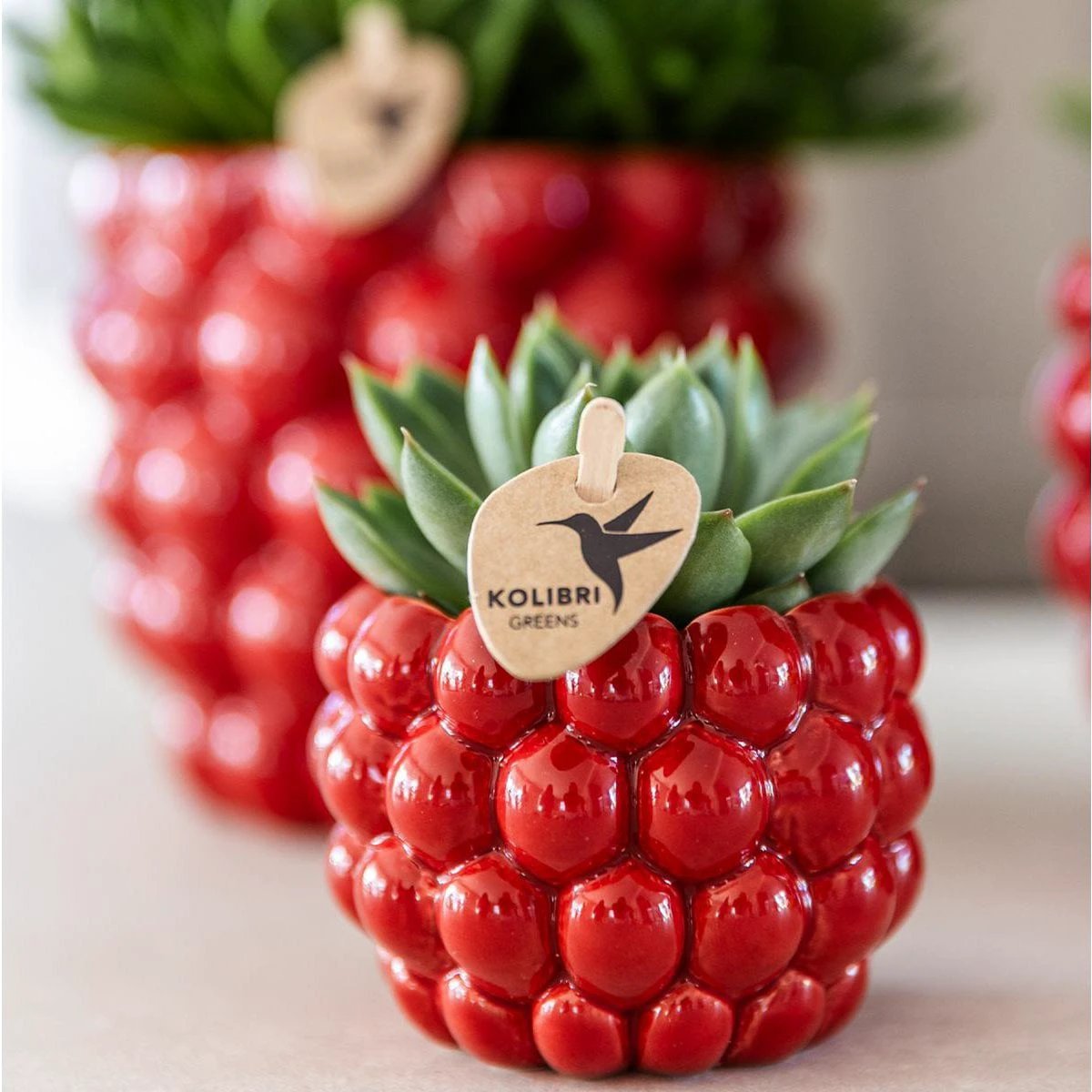 Hummingbird Home | Berry pot - Ø6cm by Kolibri Company