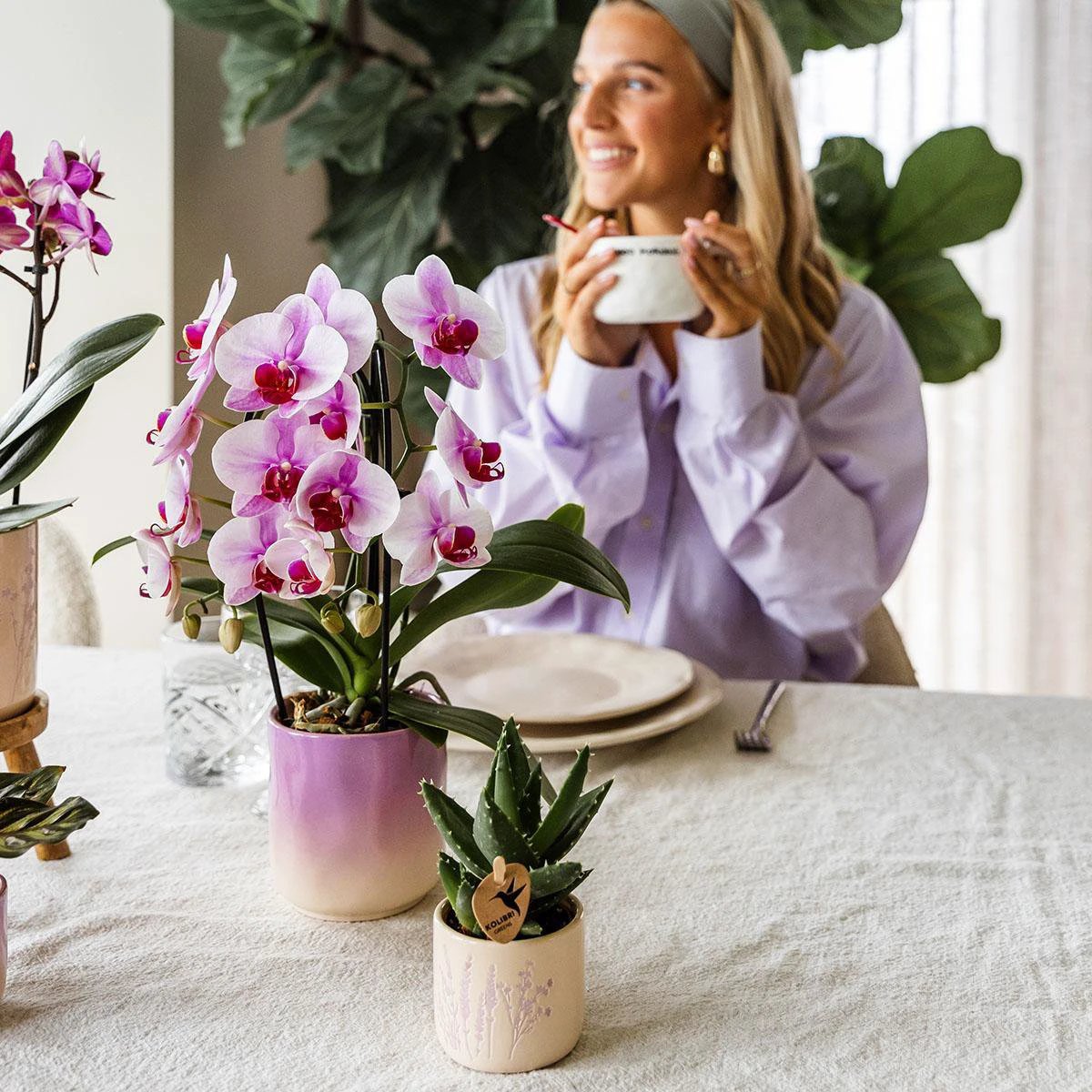 Kolibri Home | Gradience sierpot - Purple - Ø6cm by Kolibri Company