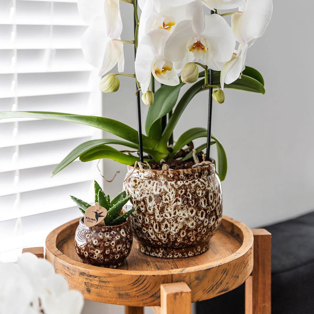 Hummingbird Home | Safari pot - 12 - Ø12cm by Kolibri Company