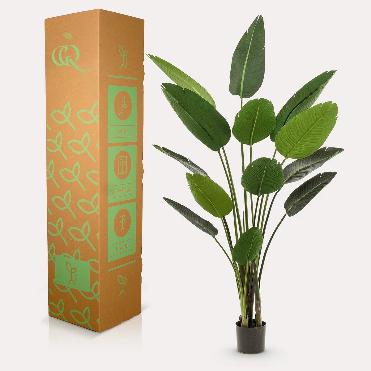 Kunstpflanze – Strelitzia Nicolai – Paradiesvogelblume – 190 cm von Green boutiQ