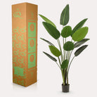 Kunstpflanze – Strelitzia Nicolai – Paradiesvogelblume – 190 cm von Green boutiQ