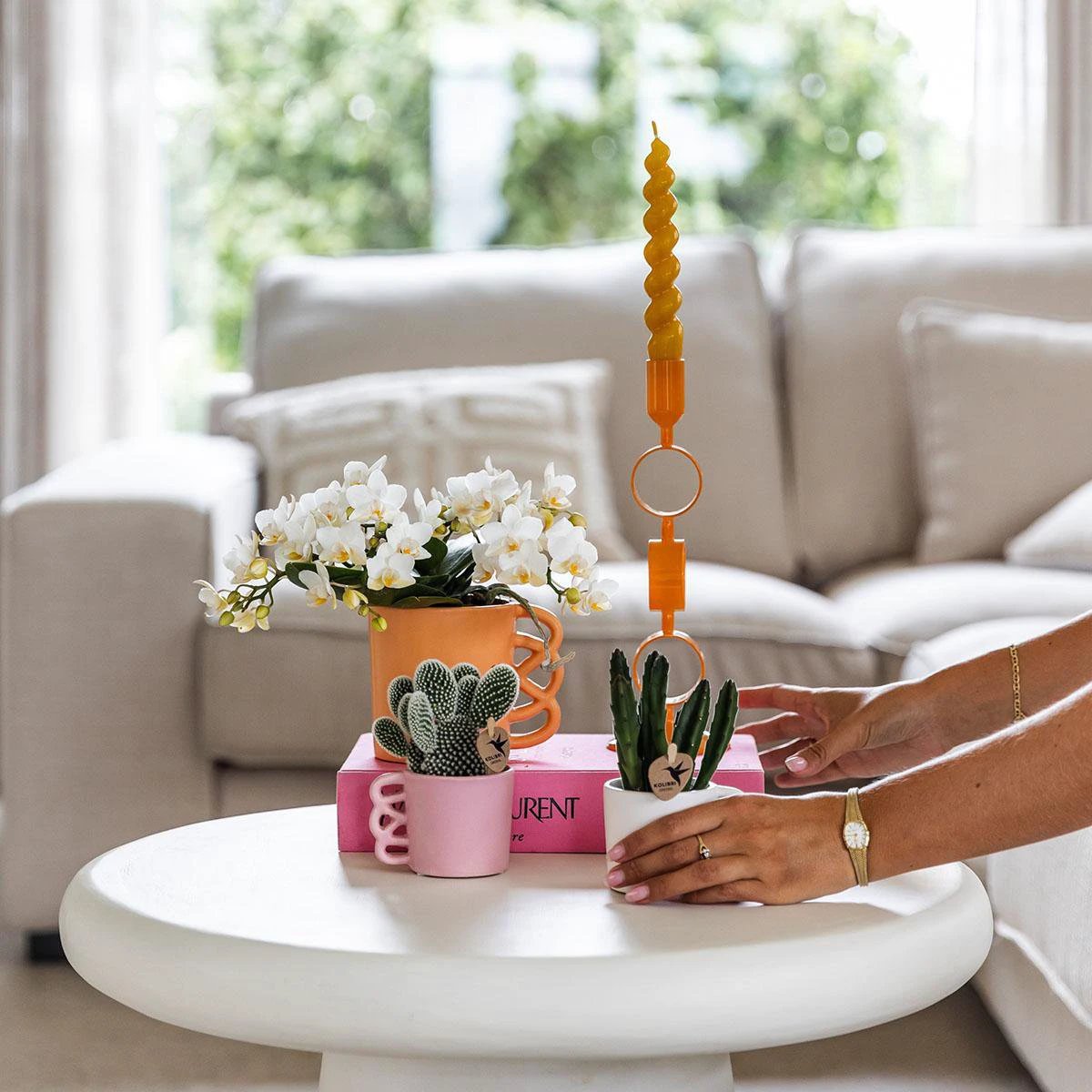 Kolibri Orchids | Witte phalaenopsis orchidee - Nazaré - potmaat Ø9cm | bloeiende kamerplant - vers van de kweker by Kolibri Company