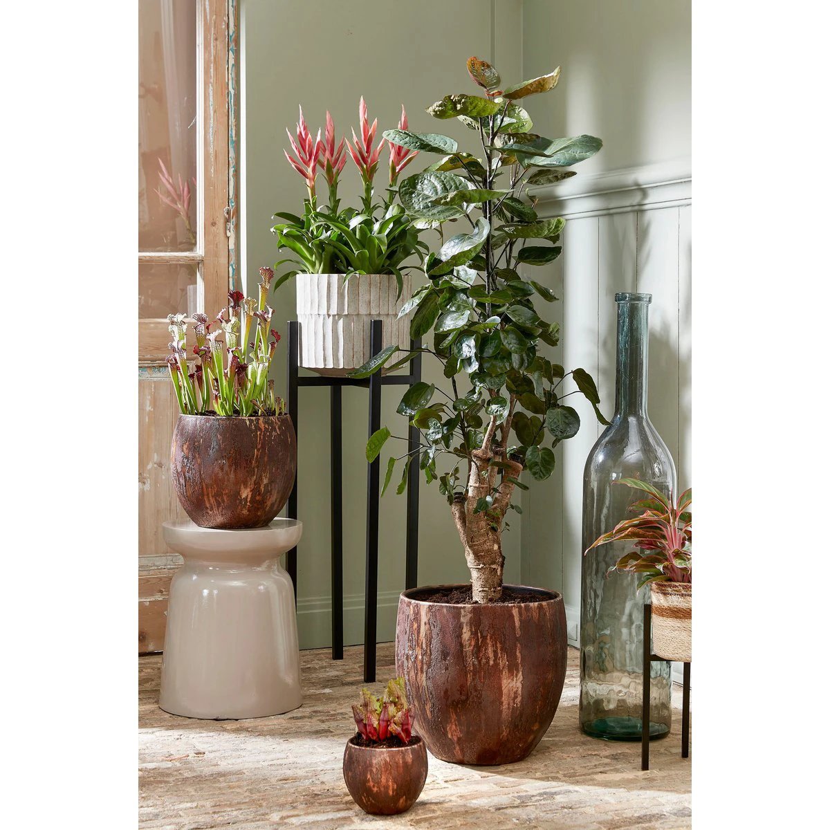 Plant stand Ascot Black by Mica Decorations