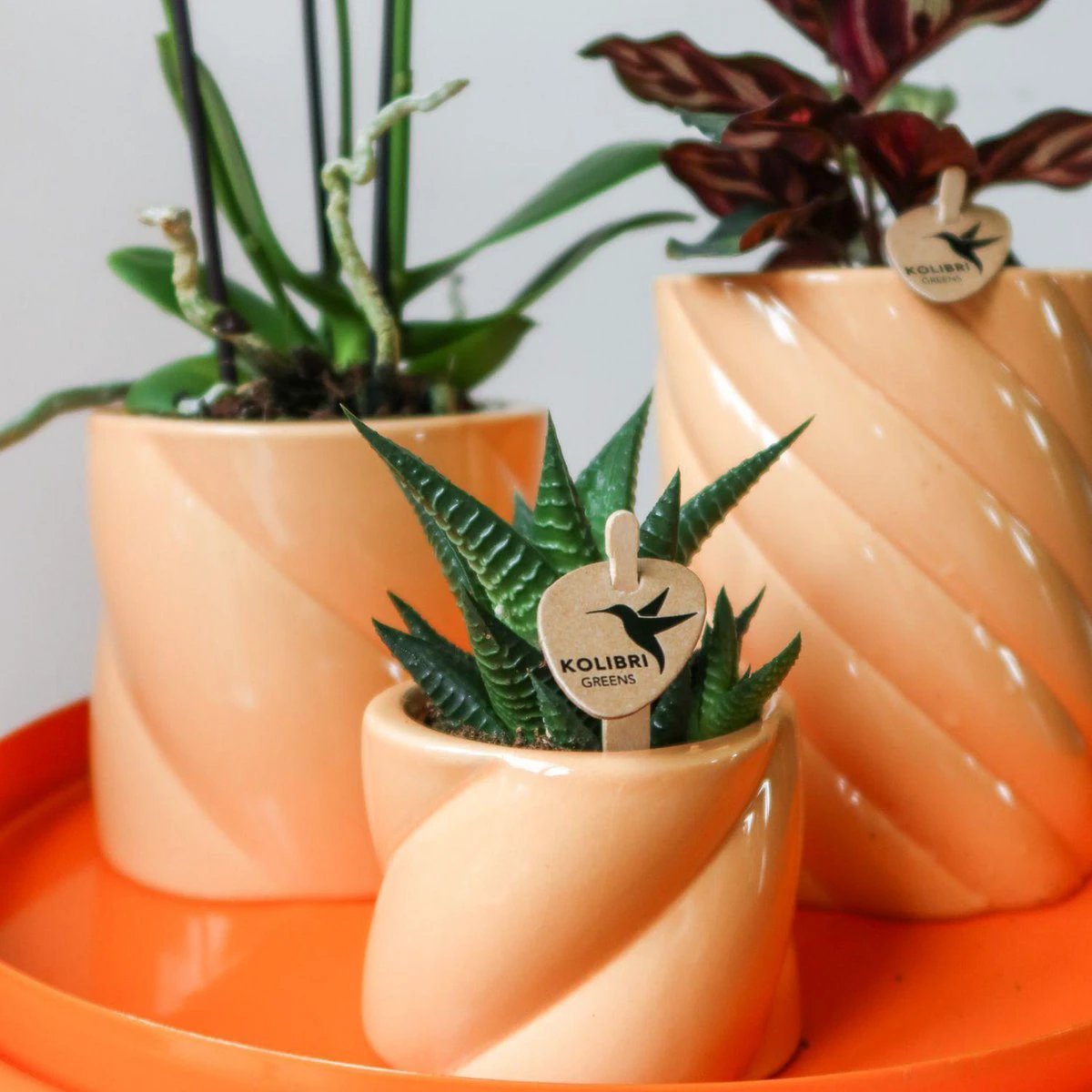 Hummingbird Home | Candy decorative pot - Peach - Ø6cm by Kolibri Company