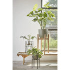 Plant stand Ascot Black by Mica Decorations