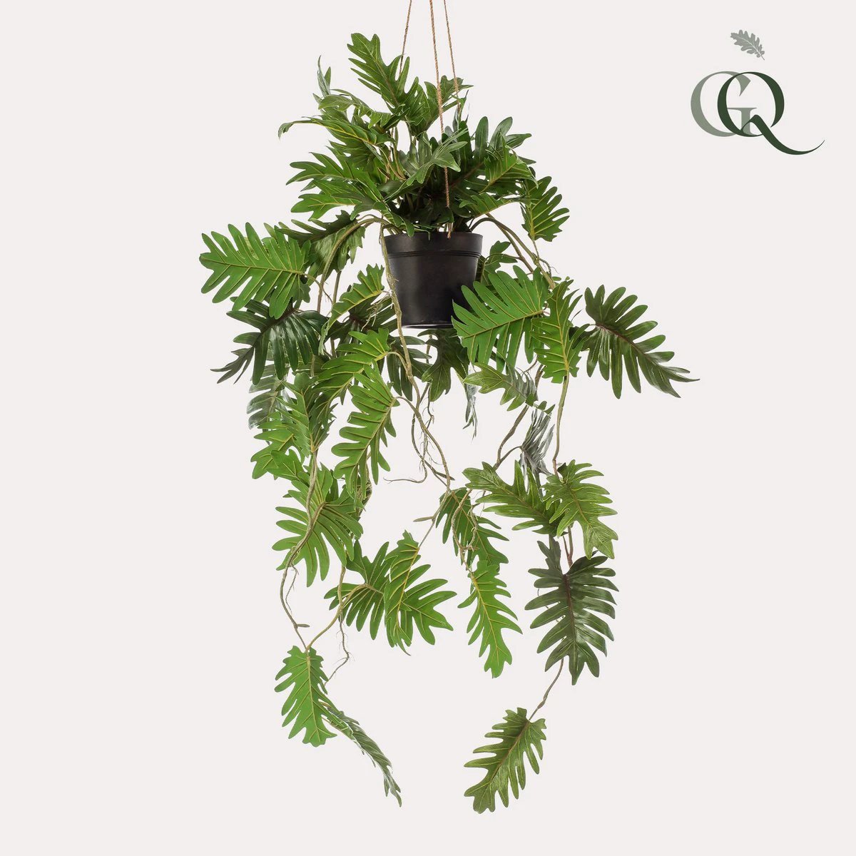 Art plant - Philodendron - Climbing tree lover - 80 cm by Green boutiQ