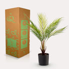Art plant - Chamaedorea - Bergpalm - 50 cm by Green boutiQ