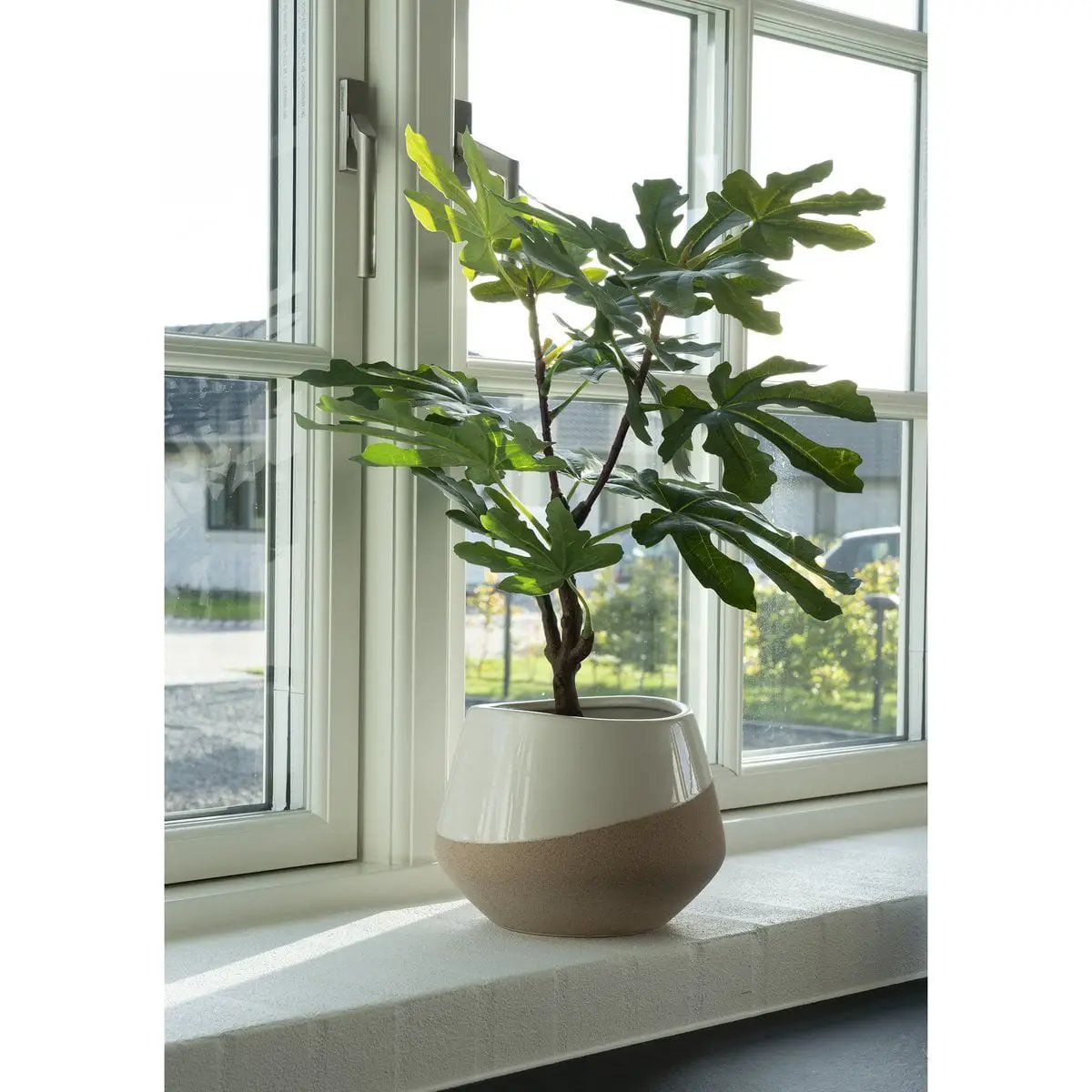 Fig Tree - Green, PE Plastic, H:60 cm by EMIRELLE