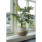 Fig Tree - Green, PE Plastic, H:60 cm by EMIRELLE
