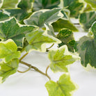 Artificial hanging plant Ivy Green by Mica Decorations